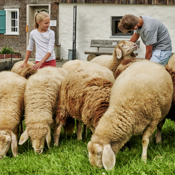 Externe Website: Bergbauernmuseum – Tiere und Bauern